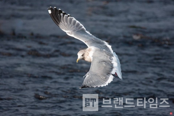 사진제공 : TSPO신특수사진연구소