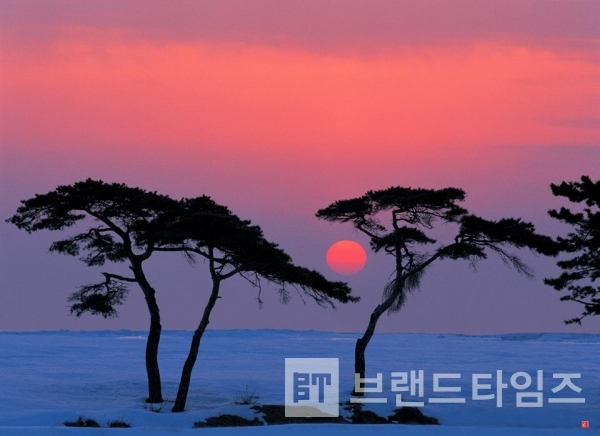 사진제공 : TSPO신특수사진연구소