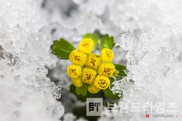 사진제공 : TSPO신특수사진연구소