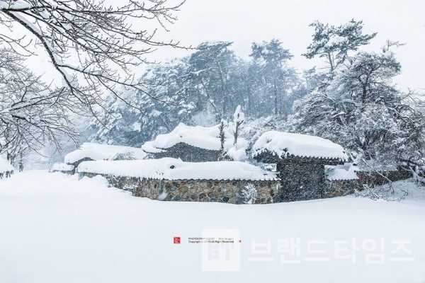 사진제공 : TSPO신특수사진연구소