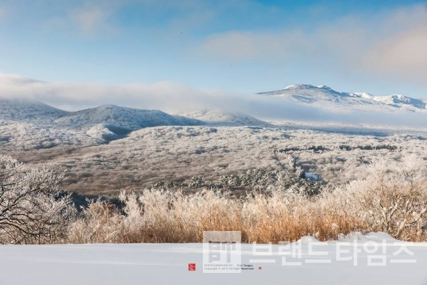 사진제공 : TSPO신특수사진연구소