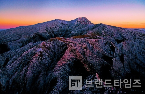 사진제공 : TSPO신특수사진연구소