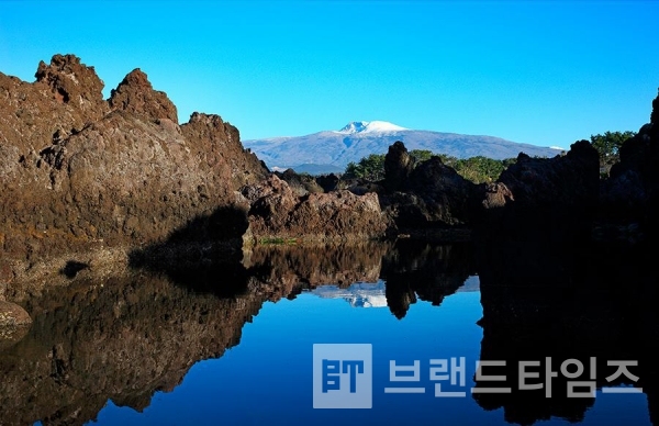 사진제공 : TSPO신특수사진연구소