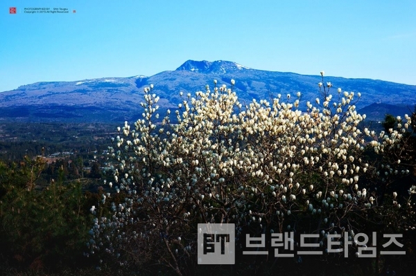 사진제공 : TSPO신특수사진연구소