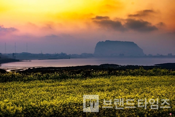 사진제공 : TSPO신특수사진연구소