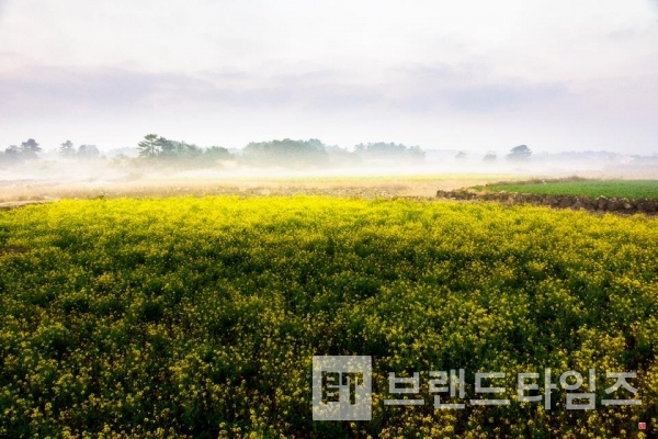 사진제공 : TSPO신특수사진연구소