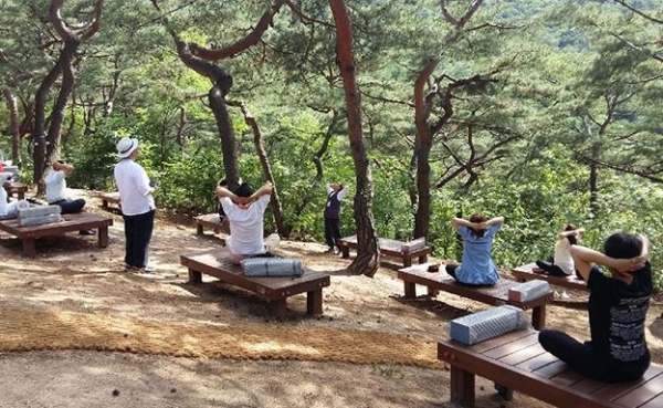 남산 소나무 힐링숲_서울시 제공사진 인용