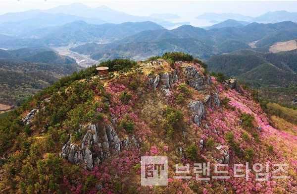 사진제공 : TSPO신특수사진연구소
