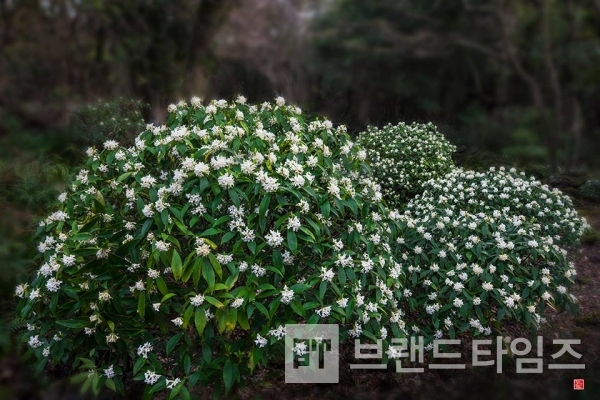 사진제공 : TSPO신특수사진연구소