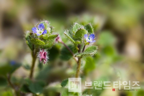 사진제공 : TSPO신특수사진연구소