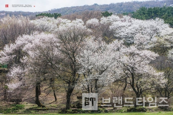 사진제공 : TSPO신특수사진연구소