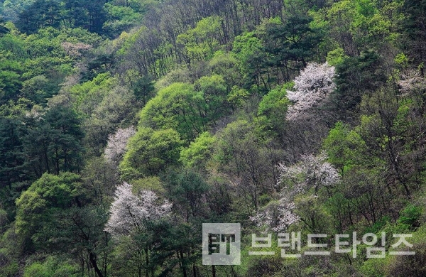 사진제공 : TSPO신특수사진연구소