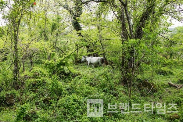 사진제공 : TSPO신특수사진연구소
