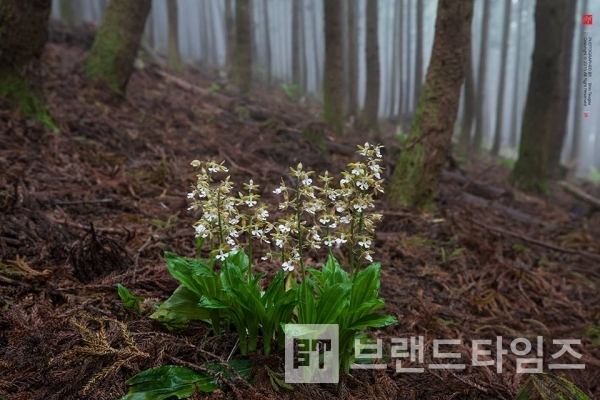 사진제공 : TSPO신특수사진연구소