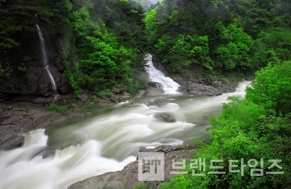 사진제공 : TSPO신특수사진연구소