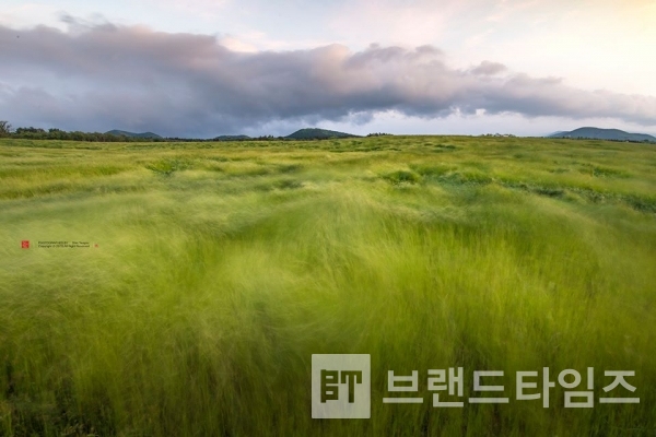 사진제공 : TSPO신특수사진연구소