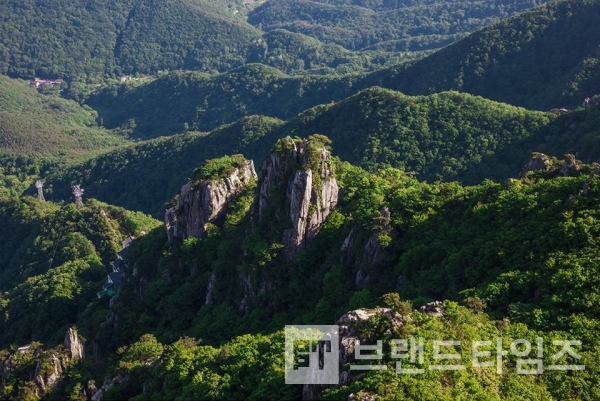 사진제공 : TSPO신특수사진연구소