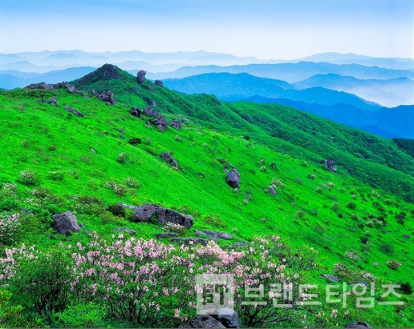 사진제공 : TSPO신특수사진연구소