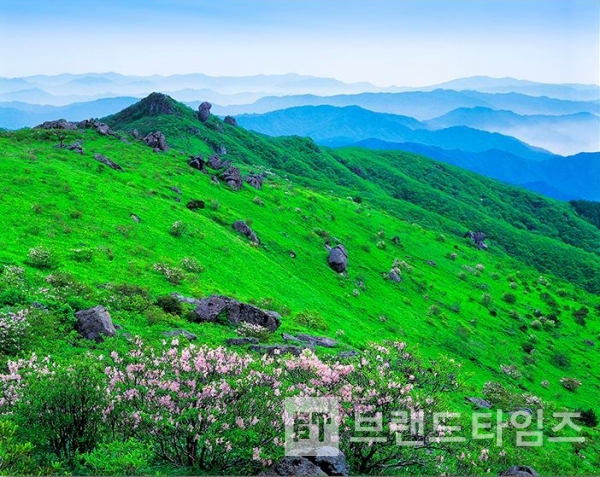 사진제공 : TSPO신특수사진연구소