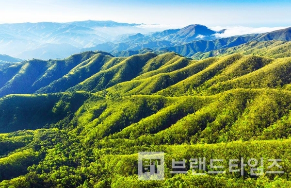 사진제공 : TSPO신특수사진연구소