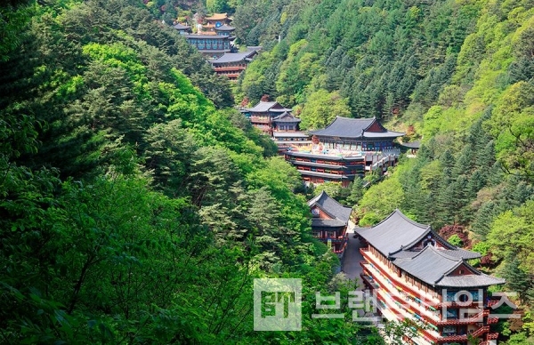 사진제공 : TSPO신특수사진연구소