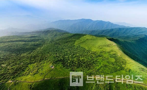 사진제공 : TSPO신특수사진연구소