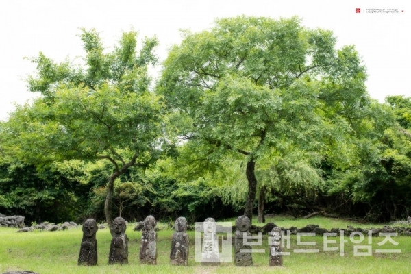 사진제공 : TSPO신특수사진연구소