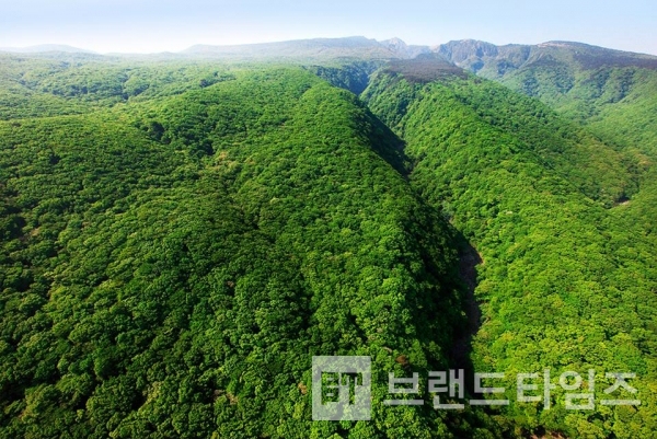 사진제공 : TSPO신특수사진연구소