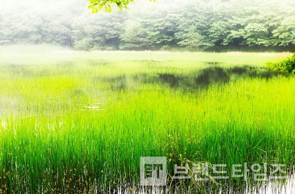 물장울, 제주도 / 사진제공 : TSPO신특수사진연구소