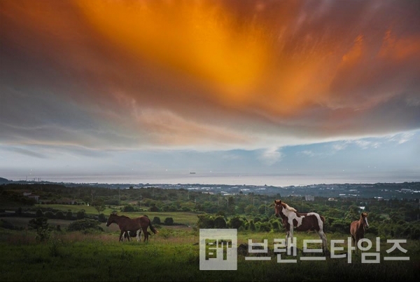 사진제공 : TSPO신특수사진연구소