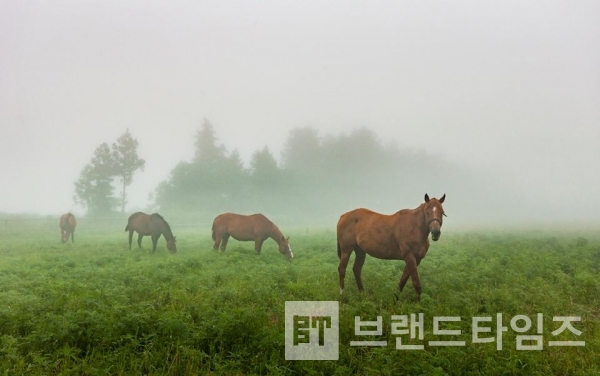 사진제공 : TSPO신특수사진연구소