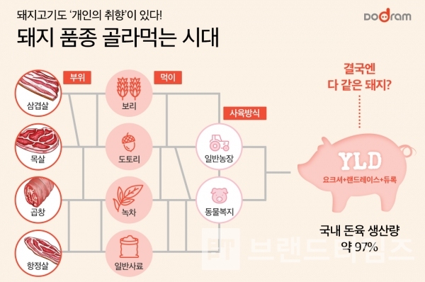 돼지고기와 돼지 품종/사진=도드람