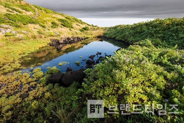 사진제공 : TSPO신특수사진연구소