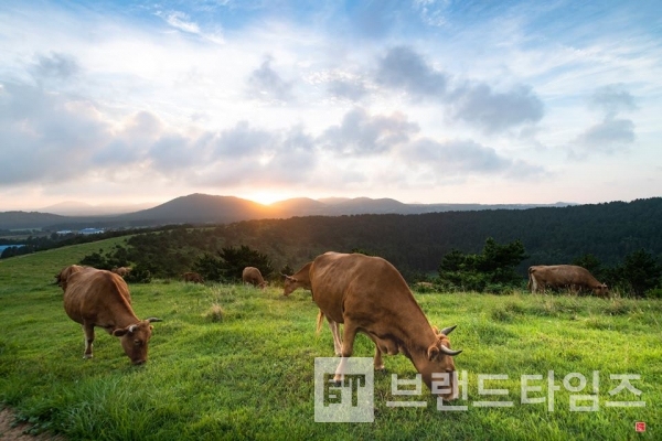 사진제공 : TSPO신특수사진연구소