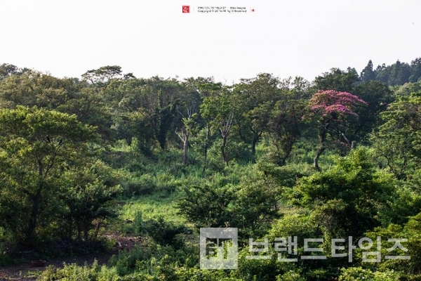 사진제공 : TSPO신특수사진연구소