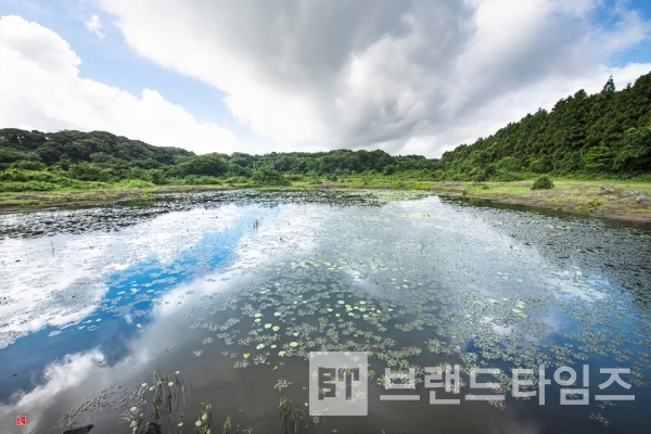 사진제공 : TSPO신특수사진연구소