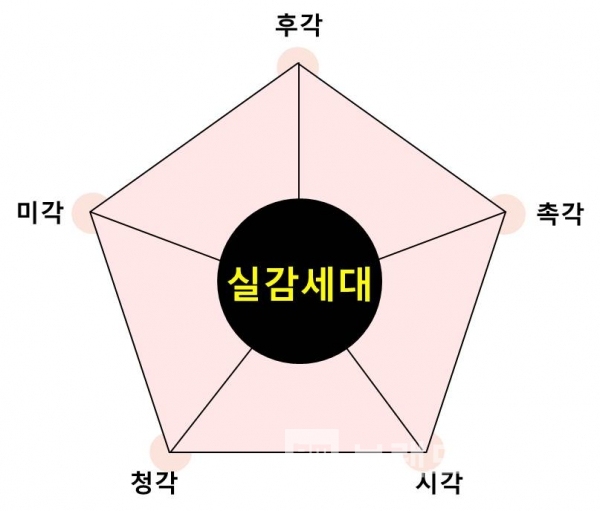 실감세대/자료=뉴스와이어/그림=브랜딩그룹