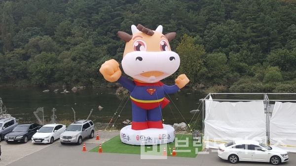 횡성한우축제장에 있는 횡성한우 황소 모형에 슈퍼맨의 복장과 마크를 한 것이 못내 아쉽기만 하다/사진=브랜드타임즈