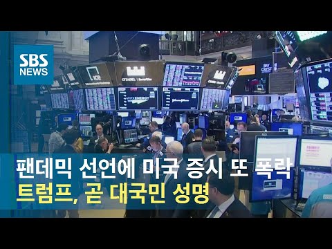 SBS 뉴스에 나온 감염병 세계적 대유행(Pandemic)/사진=SBS 뉴스 갈무리