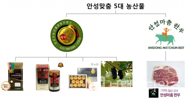 안성시 5대농산물 공동브랜드 ‘안성마춤®’ BI(Brand Identity)/자료=안성맞춤농협조합조합공동사업법안 누리집 갈무리