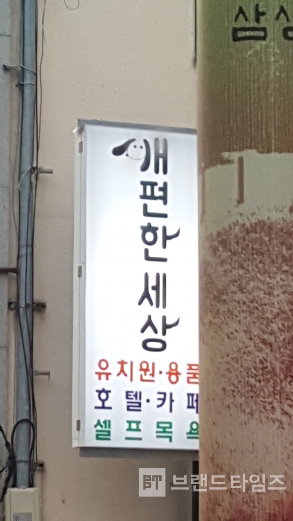 제주도에 있는 애견카페 개편한세상/사진=브랜드타임즈