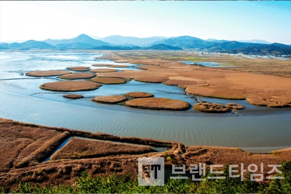 2019년 전국 인기 주요관광지점 2위 순천만국가정원/사진출처=한국문화관광연구원