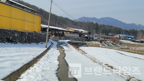 예나 지금이나 눈이 오면 언제나 부모님은 이렇게 길은 내신다. 누구라도 편하게 다니라는 배려의 마음이다/사진=브랜드타임즈