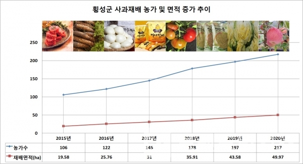 횡성군 사과재배 농가 및 면적 증가 추이/자료제공=횡성군/그래프=브랜드타임즈®