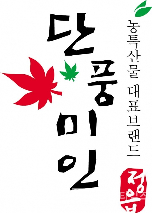 담양군 공동브랜드 단풍미인/자료=특허청 키프리스 갈무리(다운로드)