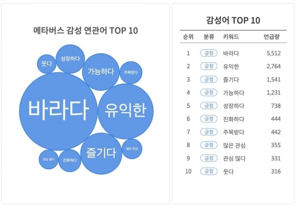 메타버스 긍정 감성 연관어 TOP 10/사진=김상균 교수 페이스북