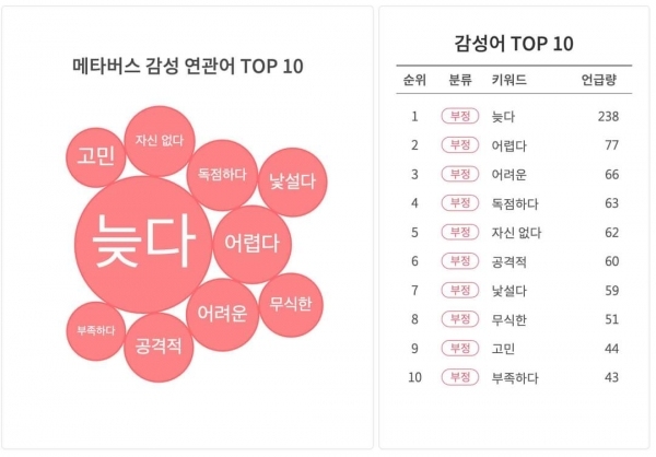 메타버스 부정 감성 연관어 TOP 10/사진=김상균 교수 페이스북