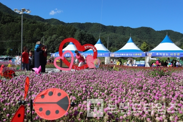 2년째 9회 축제를 하지 못하고 있는 ‘2019년 제 8횡 횡성더덕축제 풍경’/사진제공=청일면