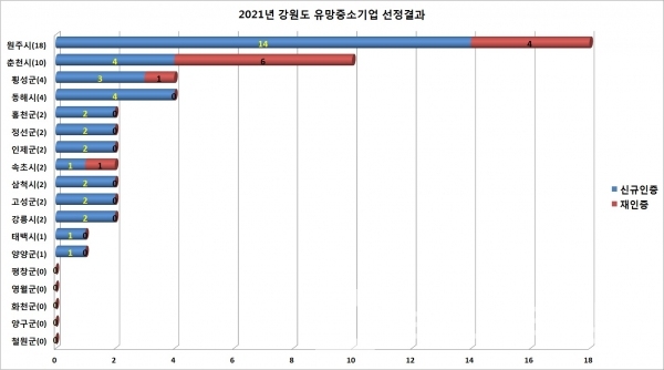 2021년도 강원도 유망중소기업 선정 결과/자료=강원도/도표=브랜드타임즈®