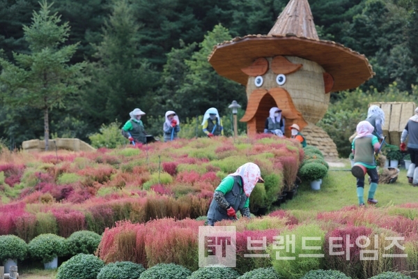 ‘오지의 마법사™’ 축제준비 당시 사진/사진=국립백두대간수목원 누리집(홈페이지) 갈무리(다운로드)